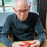 画像1231