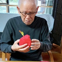 画像1234