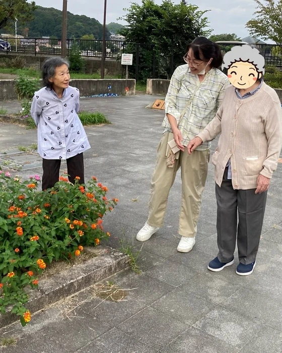 画像1261