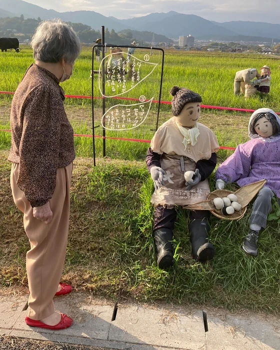画像1262