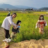 画像1268