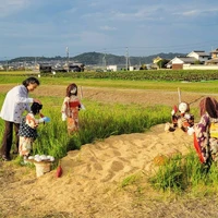 画像1270