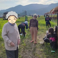 画像1271