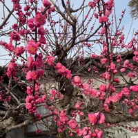 画像342