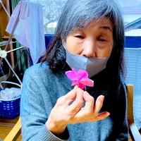 画像381