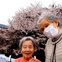 画像445