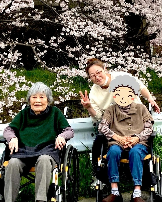画像446