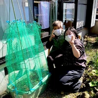 画像468