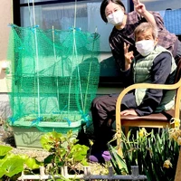 画像473