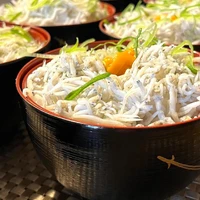画像486