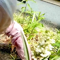 画像756