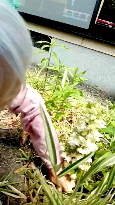 画像756